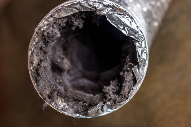 Best Affordable Duct Cleaning Services  in Des Peres, MO